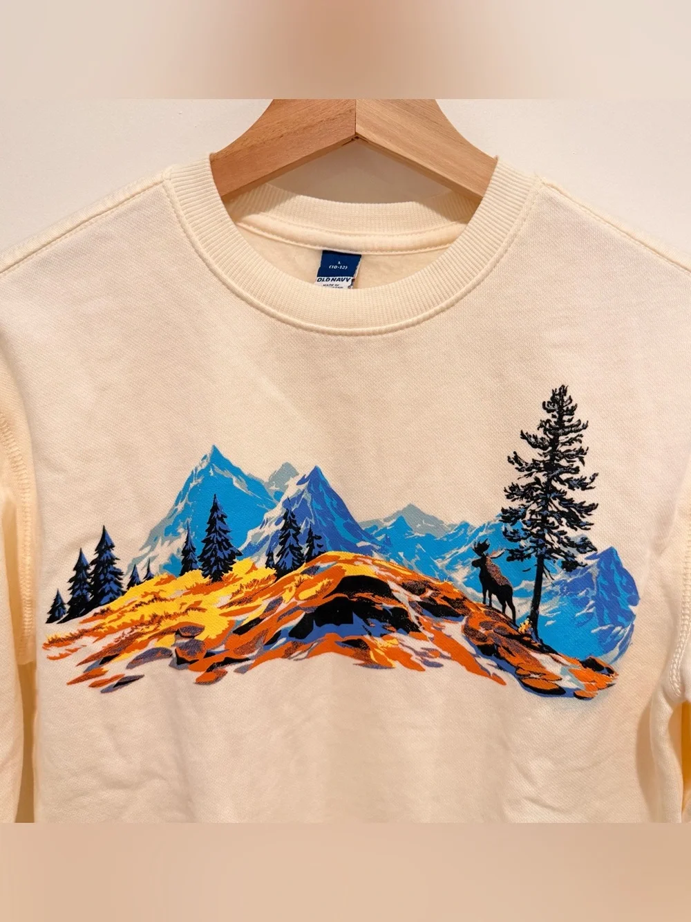 ✨ Boys 10-12 Cream Mountain Graphic Sweatshirt Outdoor Hiking Pullover